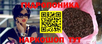 шишки Можга