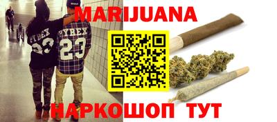 шишки Можга