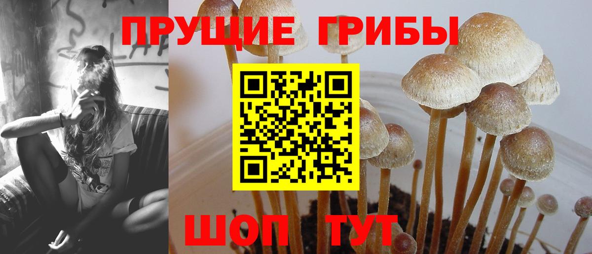 Псилоцибиновые грибы мухоморы  Вход с VPN  Гудермес 