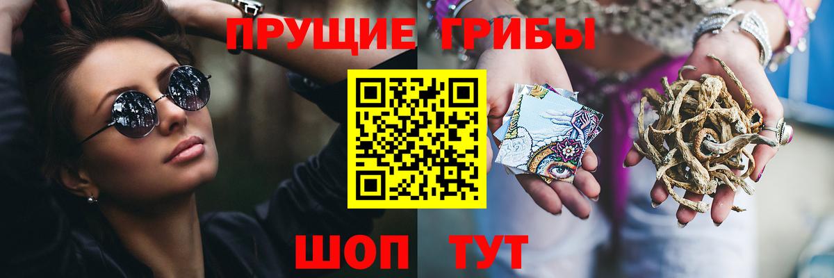 Галлюциногенные грибы ЛСД Гудермес